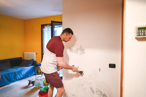 Best Attic Mold Remediation in Southgate, FL